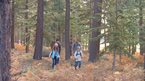 slow motion panning shot of family walking past in a forest