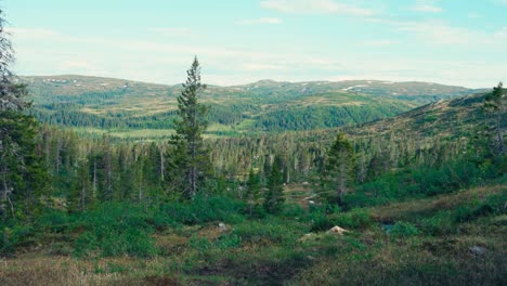 lush green valley on hiking trails near imefjelsvatnet to gurben, indre fosen, norway