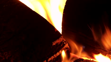 cose up view of a campfire, macro shot detail video