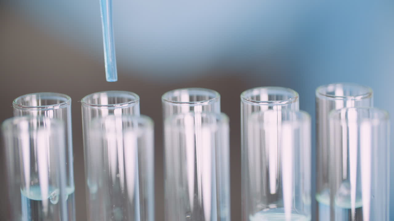 실험실 5에서 피펫을 사용하여 실험실 과학자에서 작업