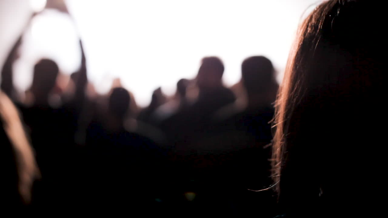 La folla del concerto con le luci del palco