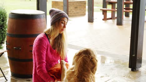 mujer con sus perros en casa 4k