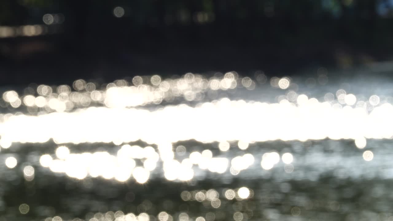 보케 배경 녹색 자연 추상적인 여름의 아름다움 물 빛 밝은 흐릿함