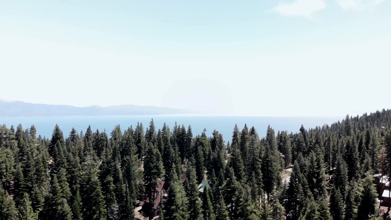 Aerial View of a Mountain Lake Surrounded by Pine Trees