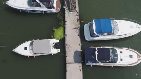 boats at a marina