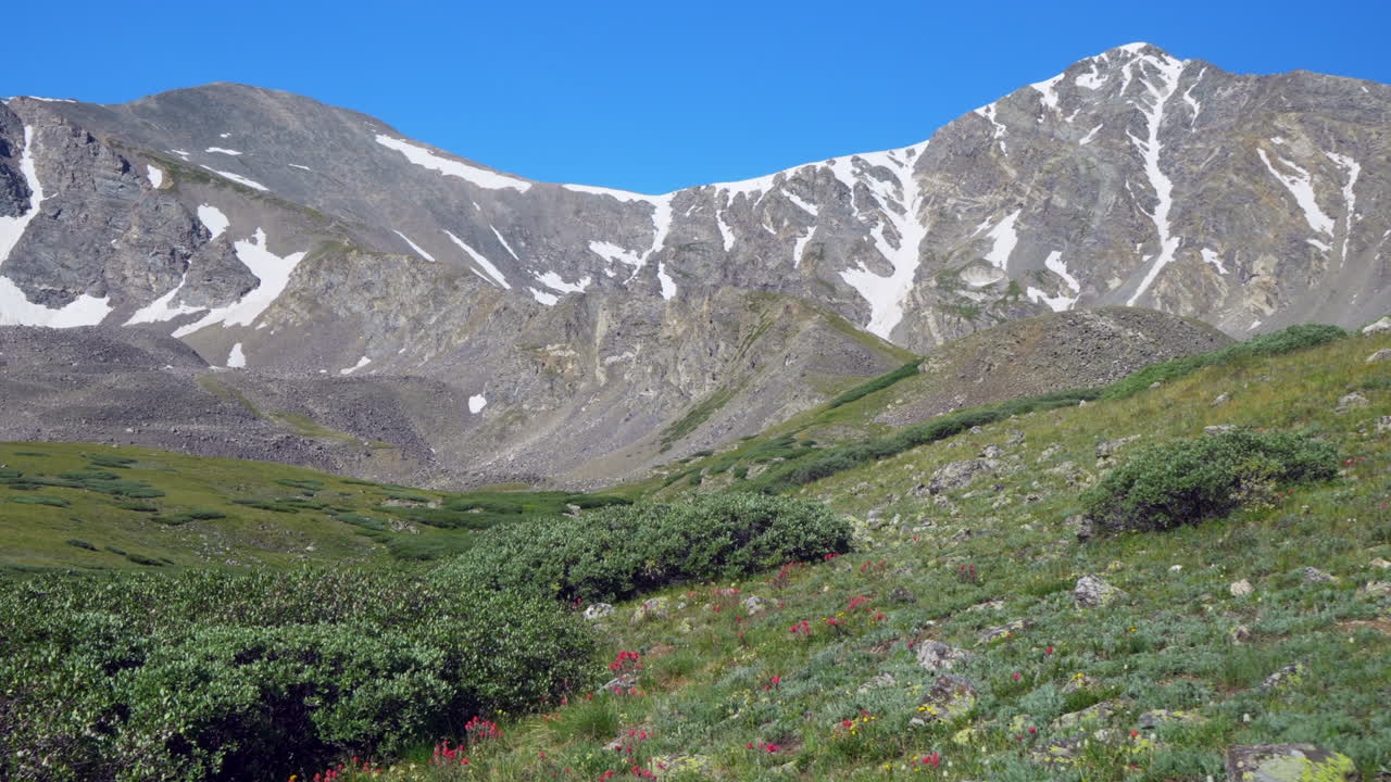 영화 속도 느린  ⁇  왼쪽으로 회색과 탑 14er 바위 산 정상 콜로라도 한낮  ⁇ 은 여름 야생 꽃 평화로운 하천 파란 하늘 위에 놀라운 눈