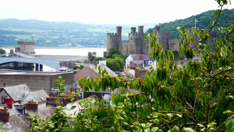 conwy castle waterfront landmark views above breezy coastal leafy tree foliage