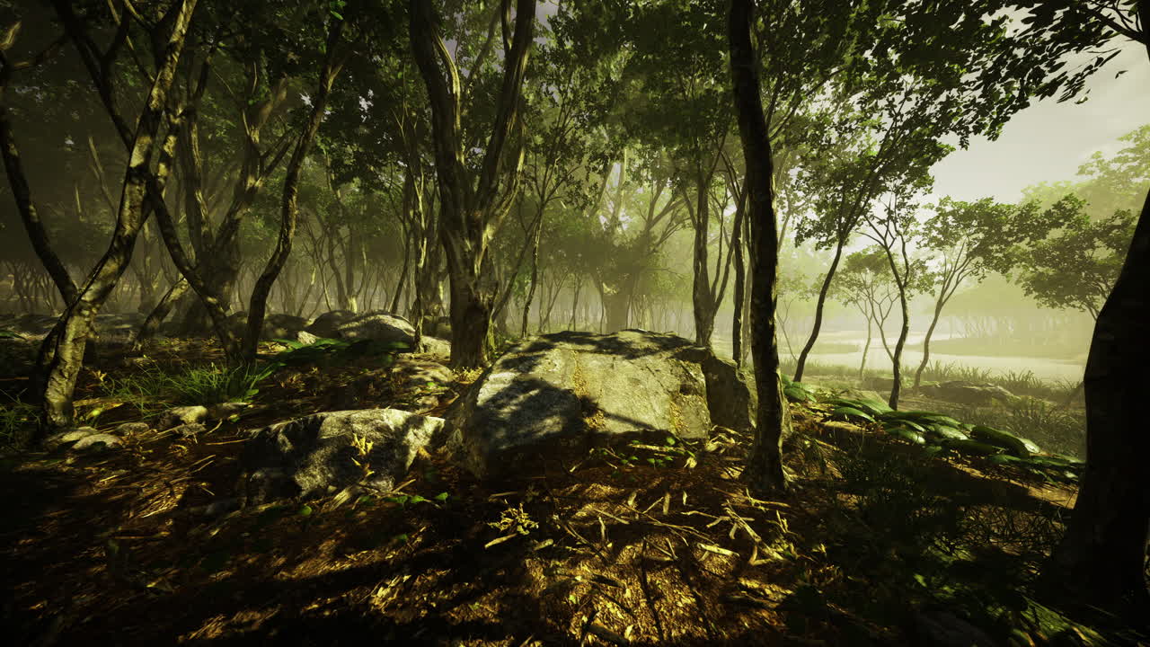 Mysterious forest landscape at dawn with soft light filtering through trees