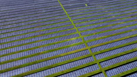 photovoltaic solar farm generating clean and eco-friendly energy, aerial view, bright sunlight, drone flight