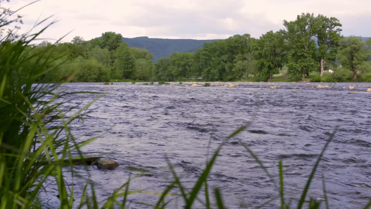 Paesaggio di corso d'acqua fluviale. Fiume di montagna che scorre vicino ad alberi verdi.