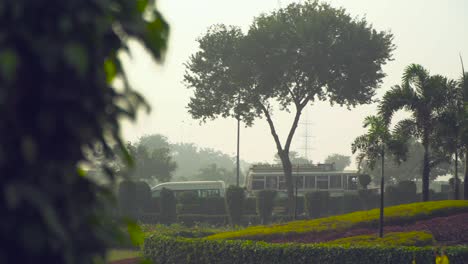 Panorámica-A-Las-Altas-Palmeras-En-El-Jardín,-El-Tráfico-Va-Por-La-Carretera-En-La-Parte-Trasera-Del-Parque,-Una-Encuesta-Eléctrica-De-Alto-Voltaje-En-La-Parte-Trasera