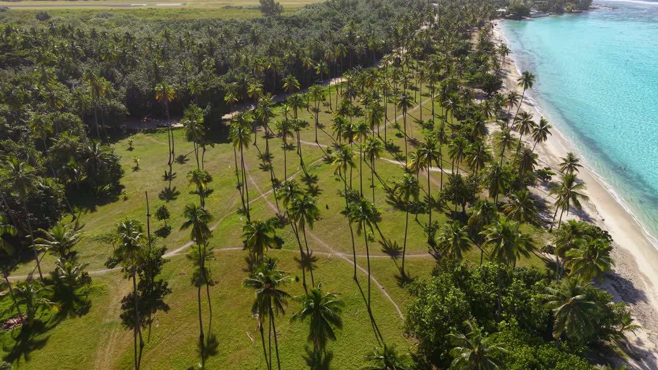 Moorea Island, French Polynesia. Drone Shot of Public Beach, White Sand And Green Landscape