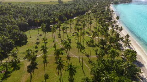 moorea island, french polynesia. drone shot of public beach, white sand and green landscape