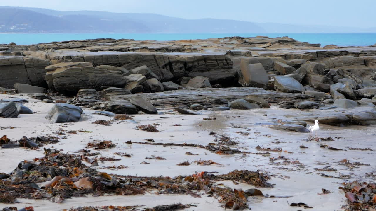 일몰 동안 론 해안