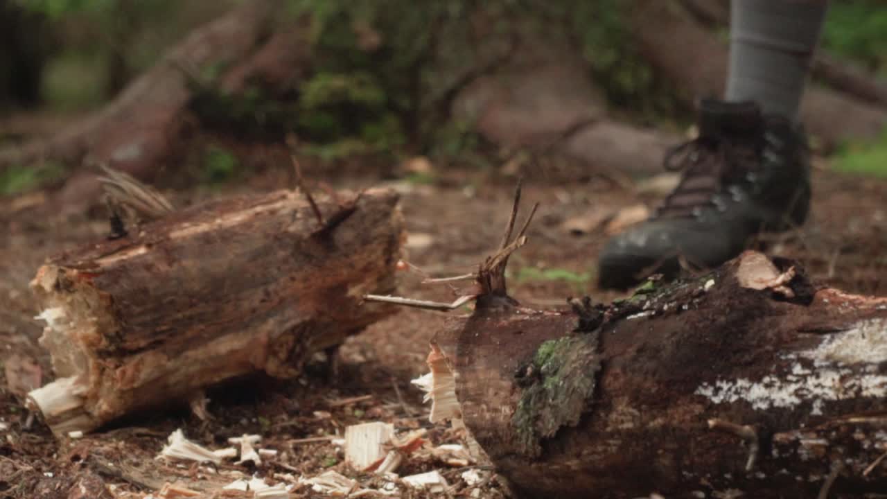 Axe Chopping Log in Half in Woods Slow Motion
