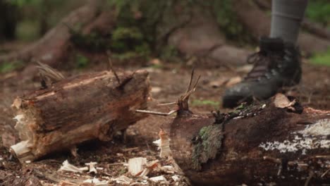 axe chopping log in half in woods slow motion