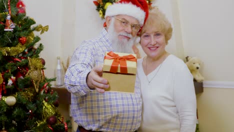 mature woman with mature man hold christmas gift in hands