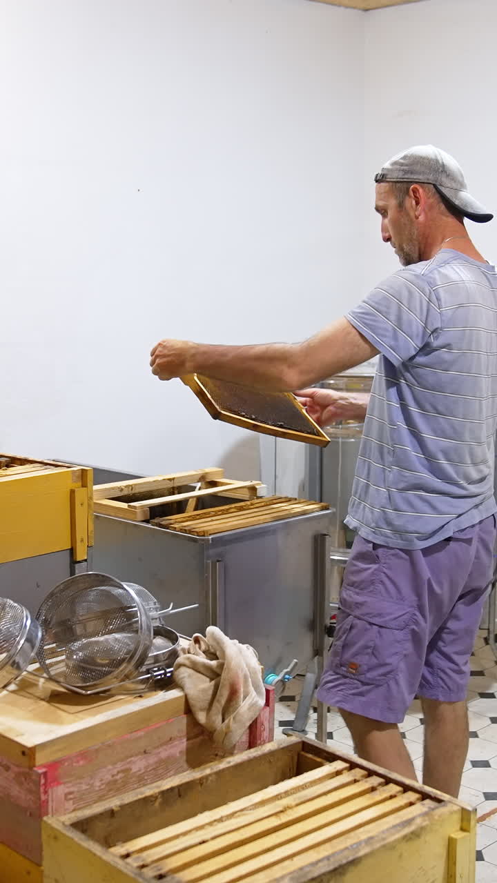 Light room with wooden hives and boxes in it. Male apiculturist replaces honey frames from one box to another. Vertical video