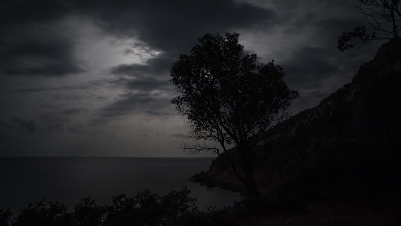 Moon Tree 4K 00