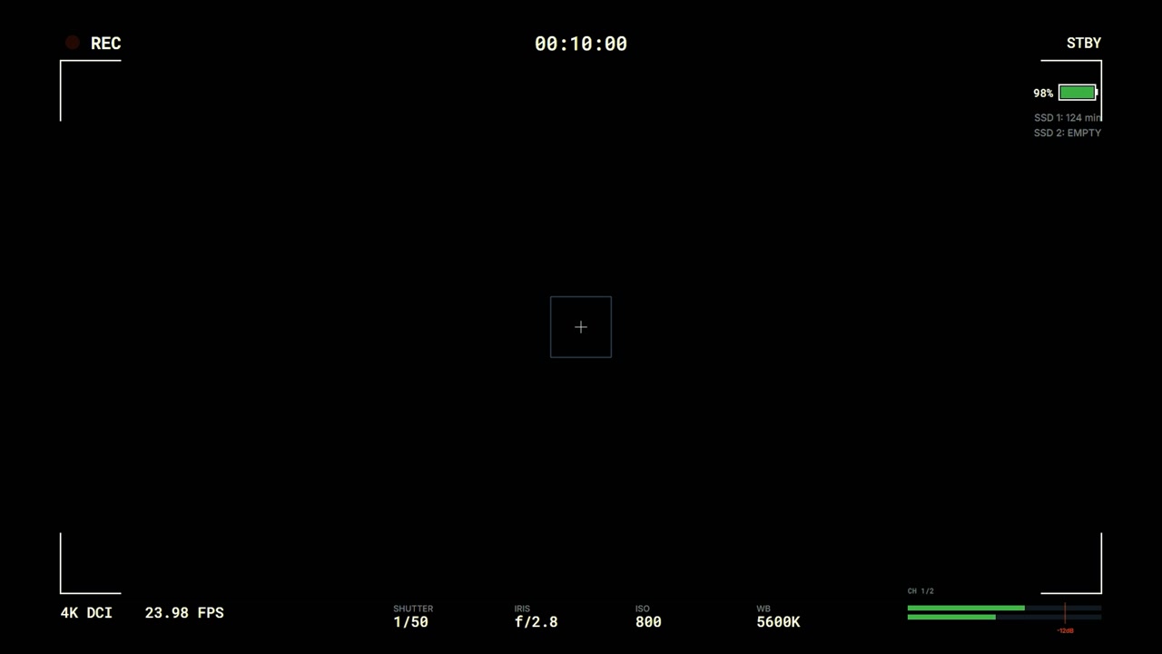 Digital Camera Viewfinder Interface Overlay