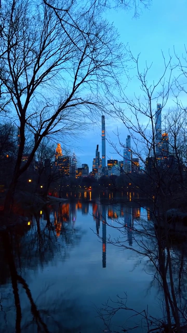 Skyline-refleksion i Central Park-søen under den blå time. Natteudsigt over bybilledet med Midtown-skyskrabere spejlet i vandet, indrammet af vintertræer.