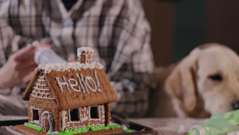 gingerbread house decorating with a dog