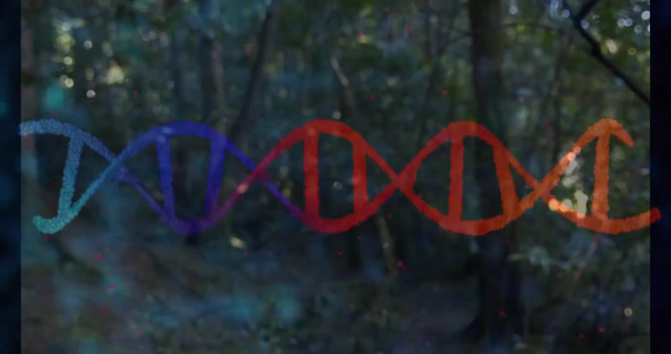 Drifting particles swirling aligning into shimmering DNA helix over forest visualizing genetic code