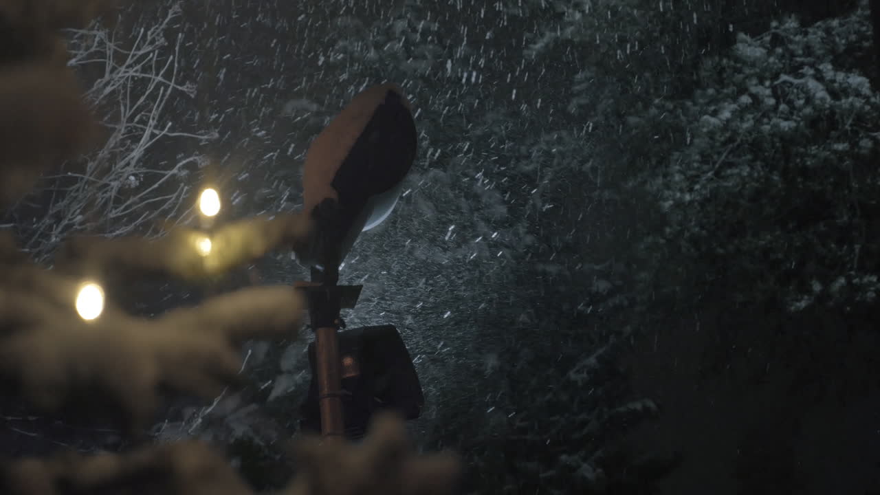 nevada en el parque por la noche