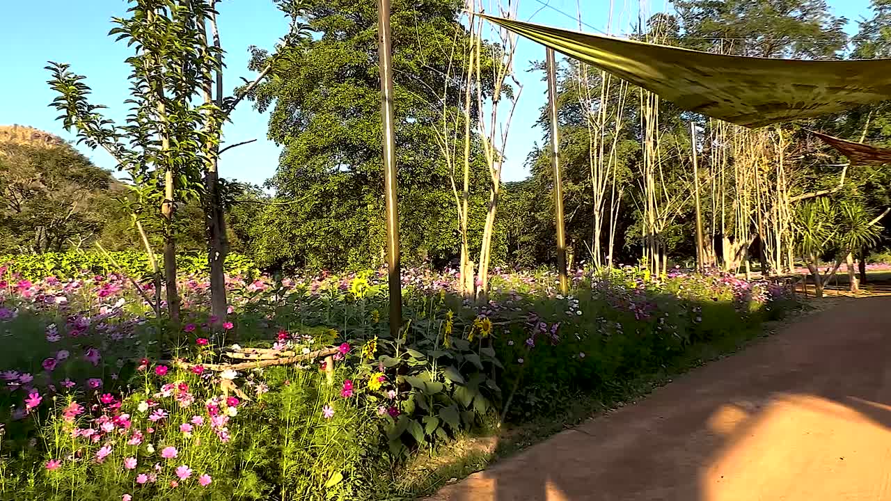 Explore the vibrant entrance and colorful flower-lined pathway at Jim Thompson Farm.