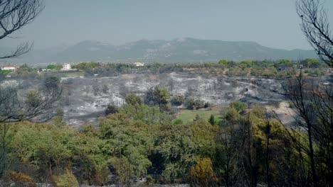 Amplia-Toma-De-árboles-Quemados-Después-De-Un-Gran-Incendio-En-La-Montaña-Parnitha,-Grecia.