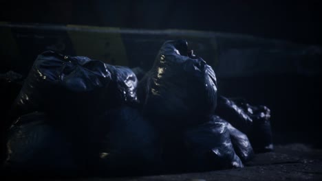 garbage bags at city street an night