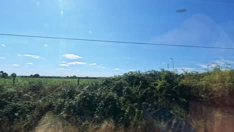 scenic rural landscape with fields and sky