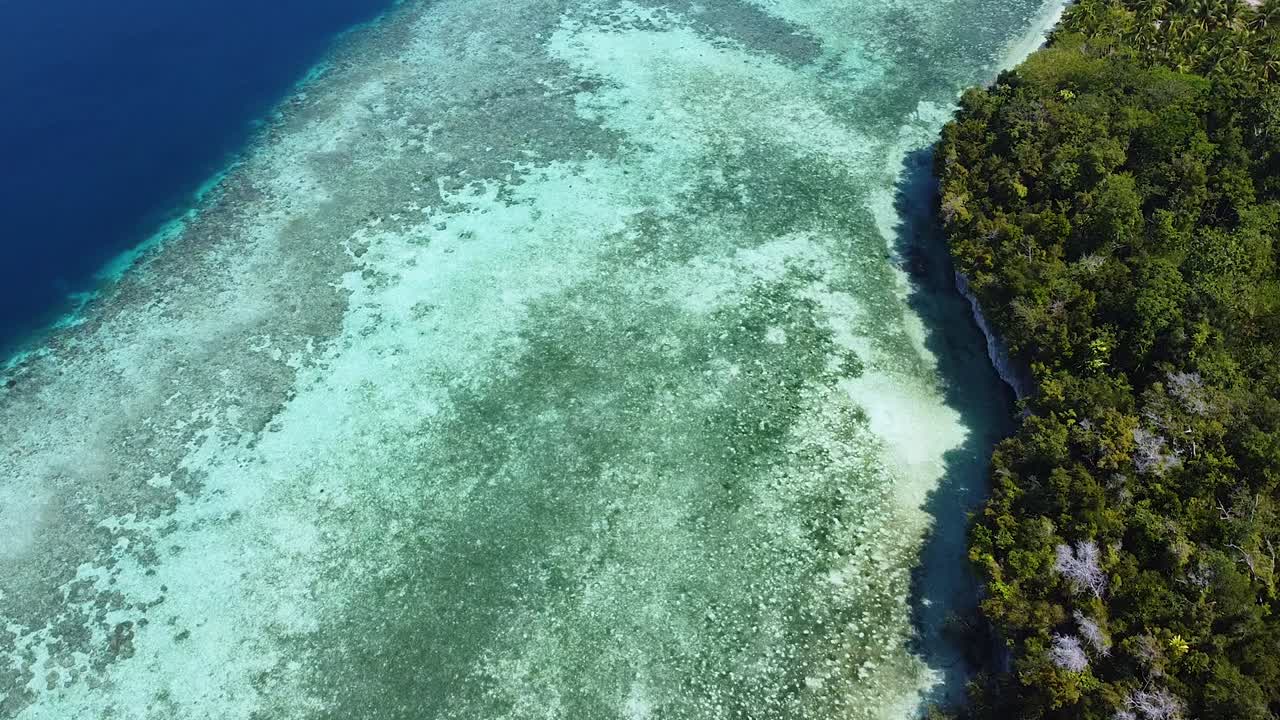 Statisk luftfoto af koralrevs-økosystem i krystalklart havvand på en afsidesliggende tropisk ø i Raja Ampat, Vestpapua, Indonesien