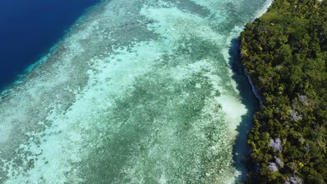 static aerial view of coral reef ecosystem in crystal clear ocean water on remote tropical island in raja ampat, west papua, indonesia