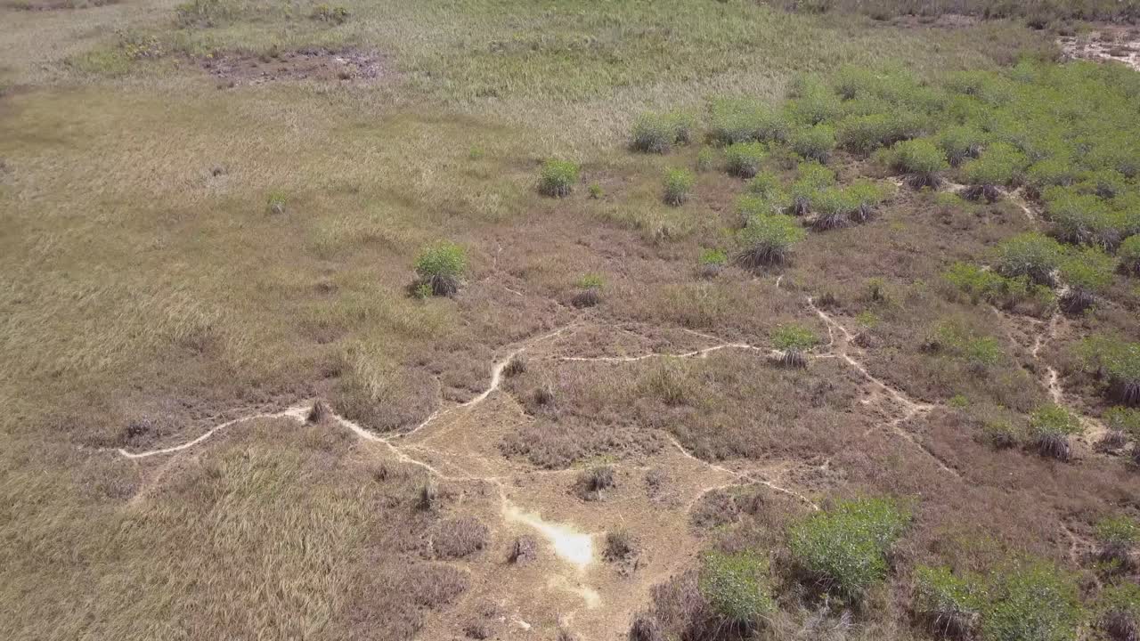 senderos de juegos de sabana