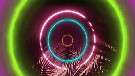 Animation-of-colourful-neon-rings-processing-over-palm-leaves-on-black-background