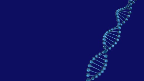 animación de la cepa de adn girando sobre un fondo azul
