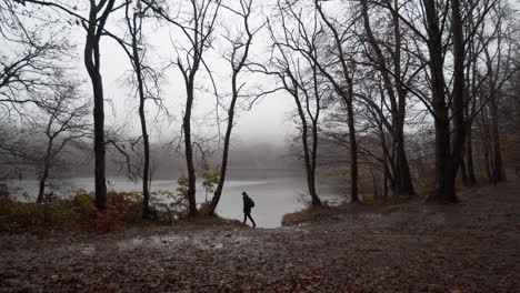 guy walking through beautiful autumn beech forest under the rain in the catalan mountains-1