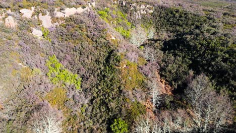 las minas de oscos en san juan de río, vista aérea, roca expuesta cubierta de vegetación
