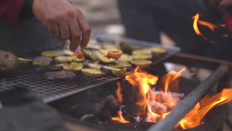 grilling potatos or paneer with vegetables in outdoor , india