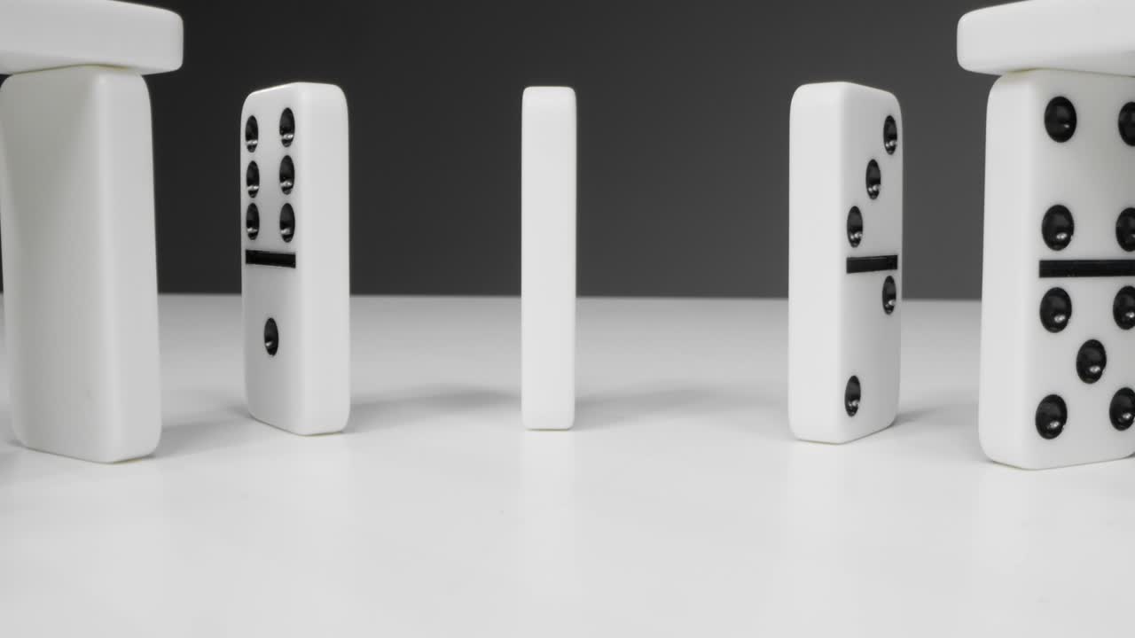 도미노의 추적 샷