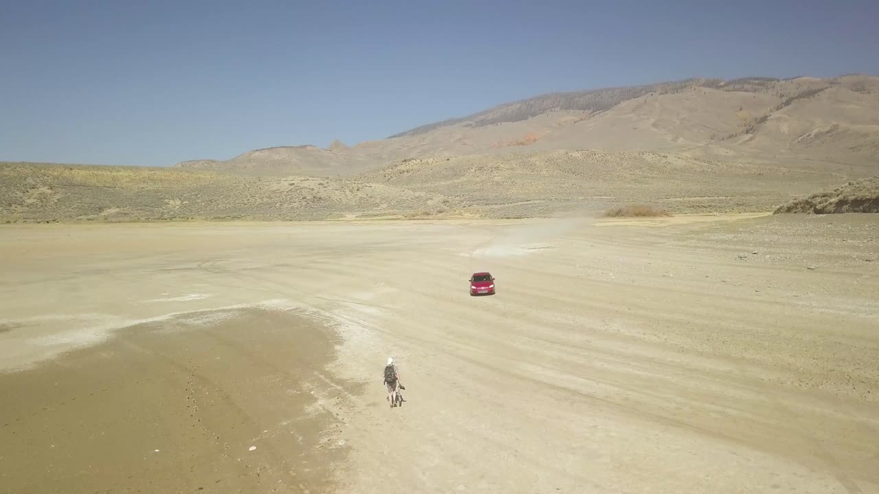 Person Walking with Dog in Remote Desert Landscape