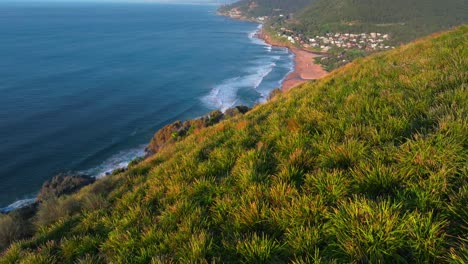 bald hill stanwell park playa cimas aéreas tele drone amanecer sol hora de oro puente de acantilado marino wollongong nsw australia sydney costa sur illawarra coalcliff throull grand pacific drive forward pan