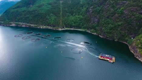 aerial footage farm salmon fishing in norway