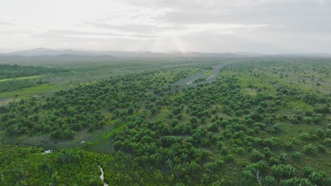 beautiful sunset in the african forest with rays of the sun