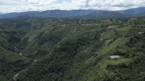 哥倫比亞自然綠色森林和馬格達琳納河穿過野生植被的空中景色 南美洲的安第斯山脈