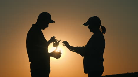 farmers examining a seedling at sunset