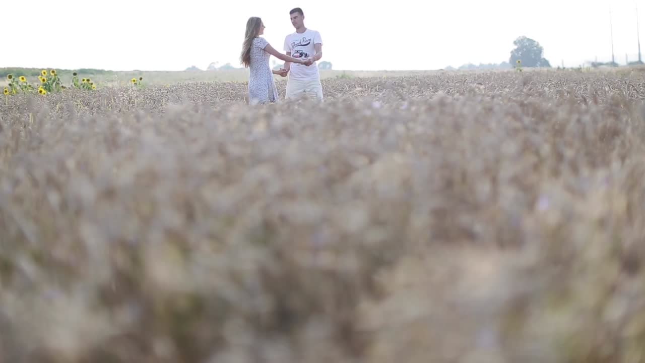 Romantic Couple Walking In Field. Man and woman talking walk through grass field in countryside