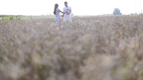 romantic couple walking in field. man and woman talking walk through grass field in countryside