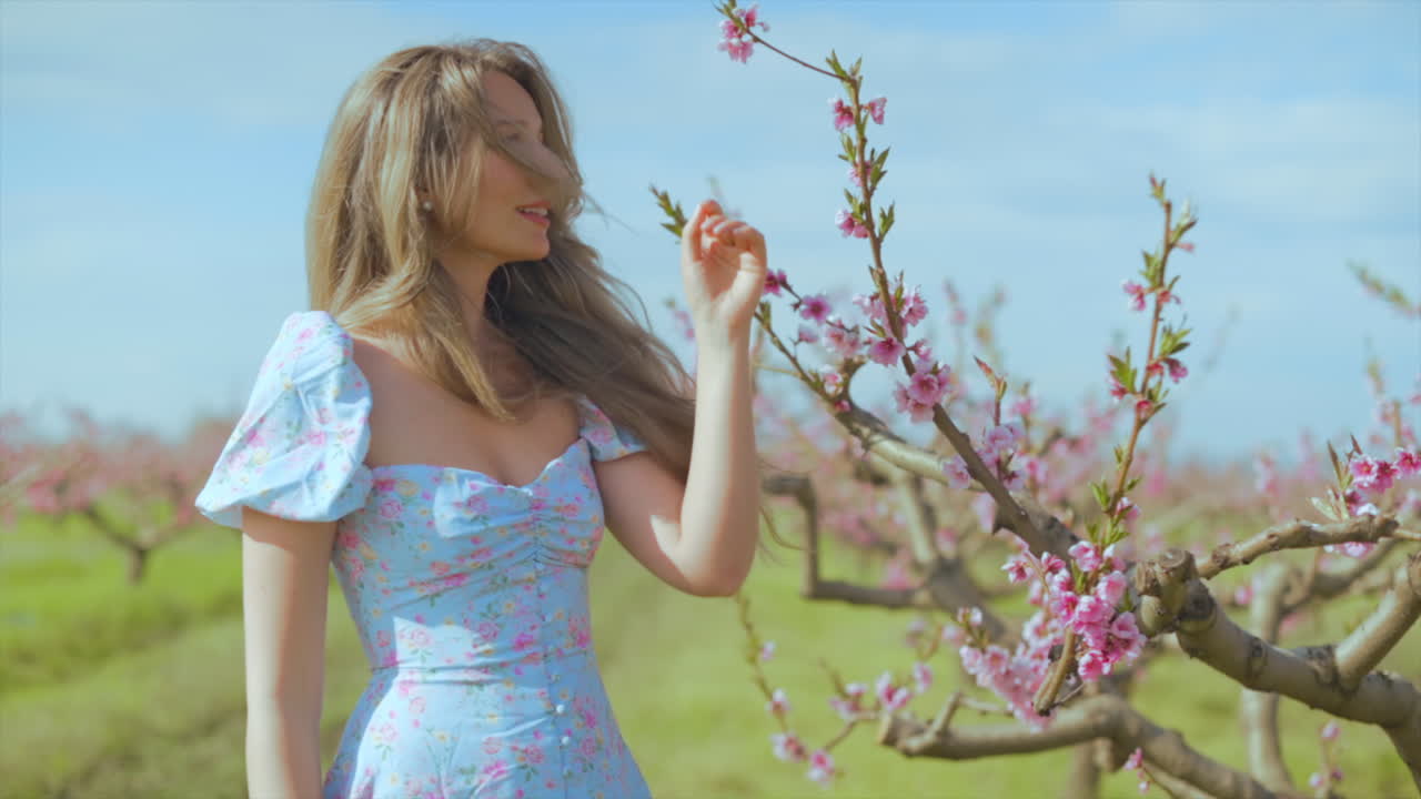 Brunette woman in a blue dress in a field of blooming trees